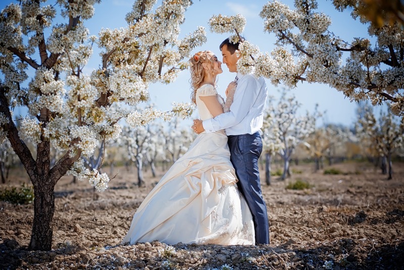 Свадьба весной: торжество цвета, нежности и чувств